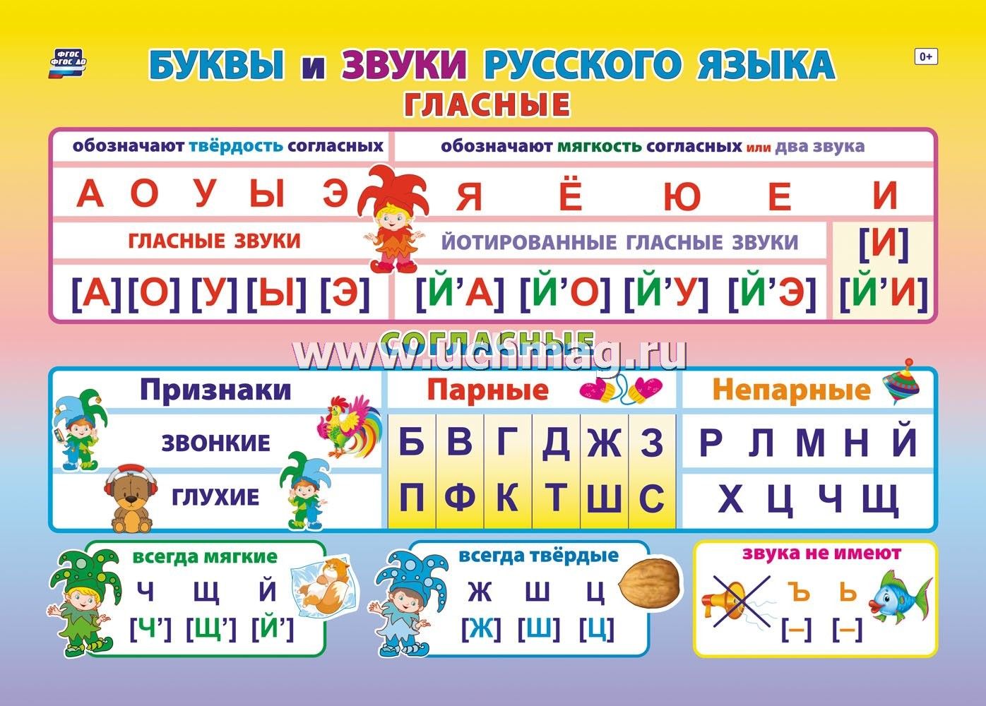 Плакат "Учебный " Буквы и звуки русского языка" А4