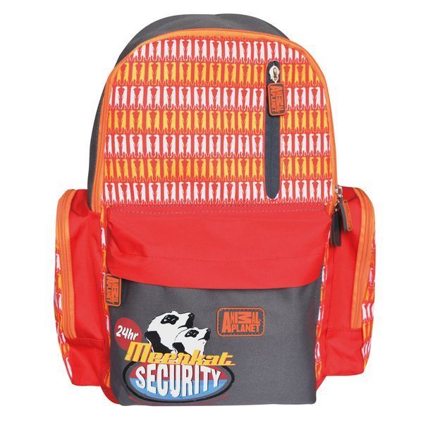Рюкзак "ANIMAL PLANET" для девочек серо-оранж ACTION!