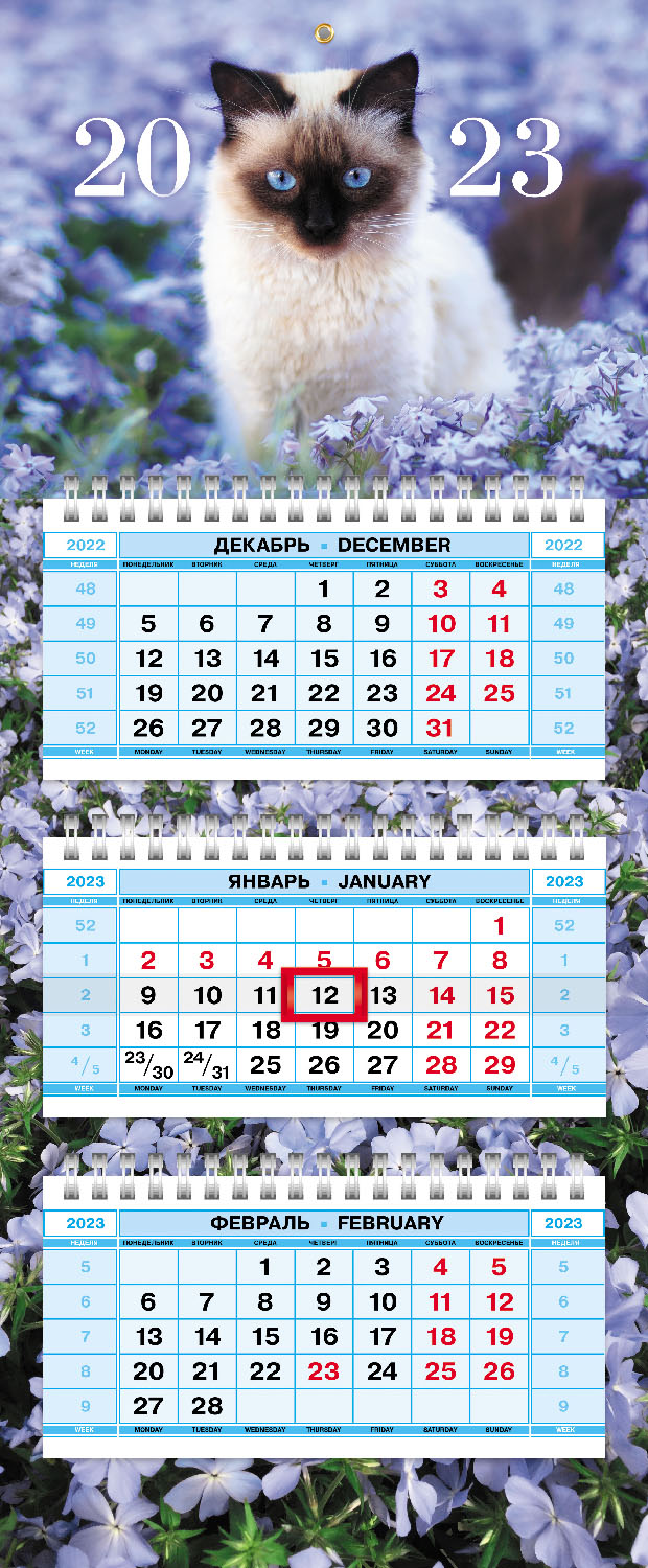 Календарь кварт. 3-х блочный 2023 Мини3 "Кот круглый год" на 3гребнях с бегунком Hatber